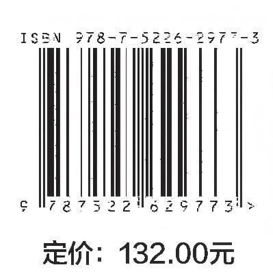 土石坝漫顶防护能力提升关键技术与应用 商品图2