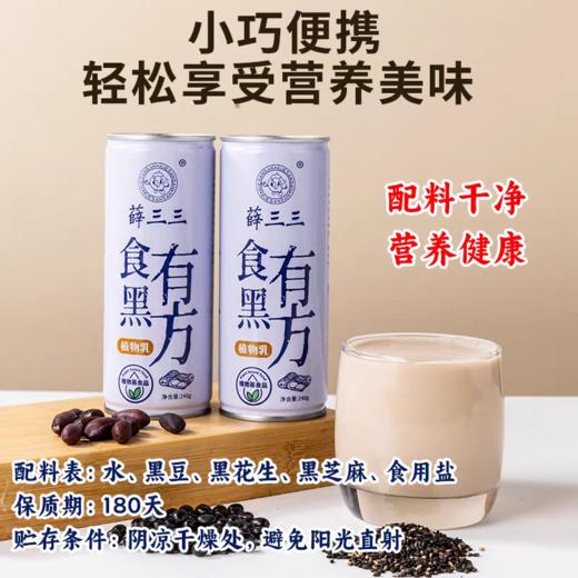 食黑有方植物乳 净素配方 蛋白饮料 薛三三健康早餐饮品 商品图4