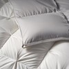 【堂皇】B7F 堂皇净眠锁温匈牙利95鹅绒冬被-白灰220x240cm胎重1250g 商品缩略图2