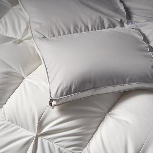 【堂皇】B7F 堂皇净眠锁温匈牙利95鹅绒冬被-白灰220x240cm胎重1250g 商品图2