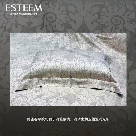 赛薇亚拉意大利进口埃及长绒棉四件套 商品图1