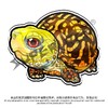 冰箱贴 龟主题⑧ 磁吸 Q版 卡通 箱龟题材 爬宠爬虫周边 super rep超爬正版【48小时发货】 商品缩略图4