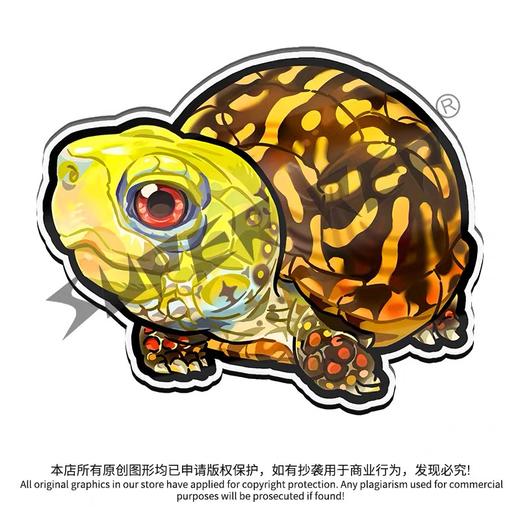 冰箱贴 龟主题⑧ 磁吸 Q版 卡通 箱龟题材 爬宠爬虫周边 super rep超爬正版【48小时发货】 商品图4