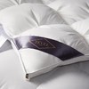 【堂皇】B7F 堂皇净眠锁温匈牙利95鹅绒冬被-白灰220x240cm胎重1250g 商品缩略图3