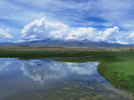 行走的灵魂 商品图5