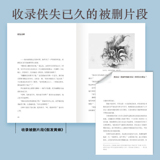 爱丽丝漫游奇境与镜中奇遇诺顿注释本 商品图3