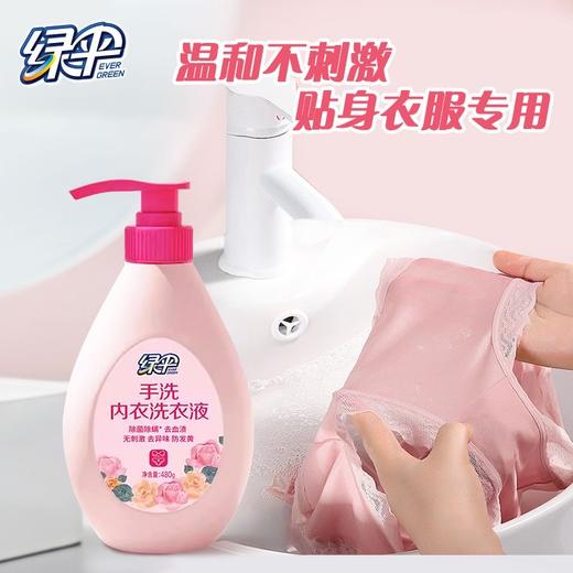 绿伞手洗内衣裤专用洗衣液480g男女通用内衣洗清洗液除菌 商品图3