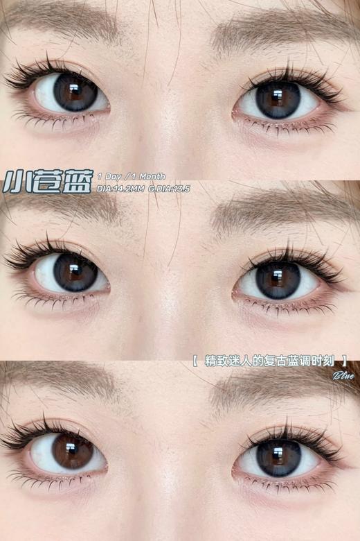 bariecat日抛 小苍蓝 14.2mm 日抛无售后！！有同款月抛 商品图5