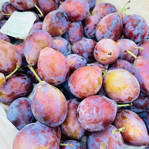 【空运智利西梅】粉滴滴的醇香蜜甜，果粉十足，可以越放越甜的S身神器！女神必入水果推荐系列 商品图6