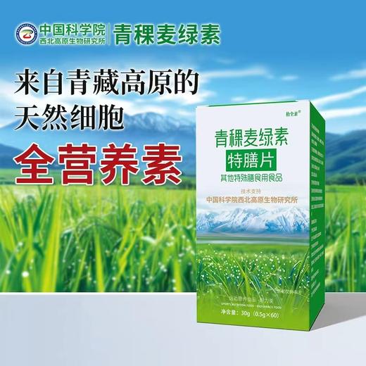 青稞麦绿素特膳片H 商品图0