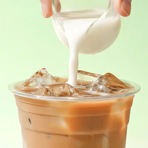 吱趣特调植脂末 1KG/包 奶精粉 商品图2