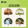 华畜强力增蛋宝蛋多多鸡鸭鹅产蛋宝芦丁鸡鸽子催蛋王改善蛋质 商品缩略图6