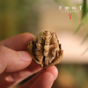 野生漾濞古树紫心核桃（成都仓库-顺丰快递） | 480g/袋，来自云南大理，生产者：杨丰芹【合作生产，公平贸易】 商品缩略图2