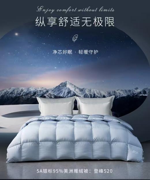 10楼梦洁 5A银标95%美洲雁绒被四季被800克.248*248cm吊牌价8599现价2999 商品图0