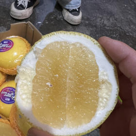 爆汁葡萄柚 纯甜口 无籽9.9/2个约2.2斤