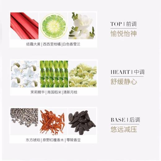 送礼盒礼袋 HR赫莲娜 绿宝瓶黑绷带洁面三件套组 （黑绷带晚霜50ml+绿宝瓶精华75ml+沁润洁面125ml） 商品图7