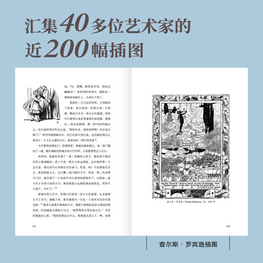 爱丽丝漫游奇境与镜中奇遇诺顿注释本 商品图2