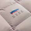 【堂皇】B7F 堂皇蔓羽暖立方羽绒冬被-粉灰220x240cm胎重1250g 商品缩略图2