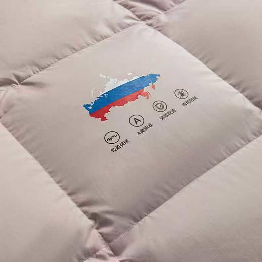 【堂皇】B7F 堂皇蔓羽暖立方羽绒冬被-粉灰220x240cm胎重1250g 商品图2