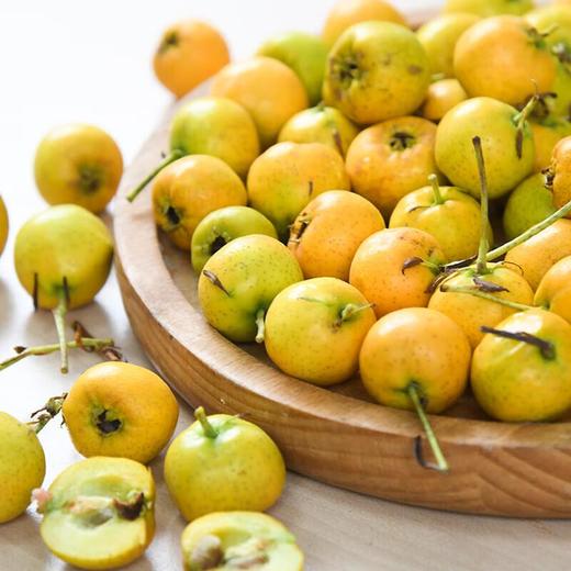 迷你黄山楂 商品图1