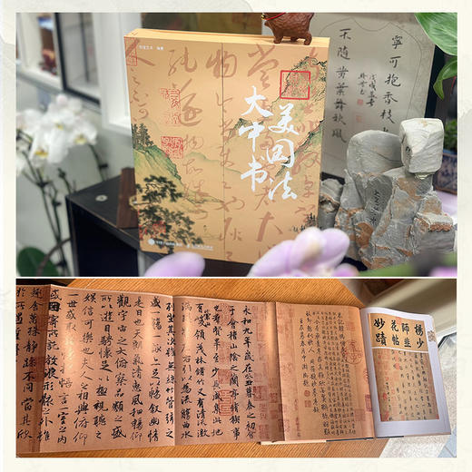 大美中国书法 中国国宝书法全书书法*碑帖鉴赏赏析解读 书法演变王羲之颜真卿柳公权艺术鉴赏书法美学 商品图4