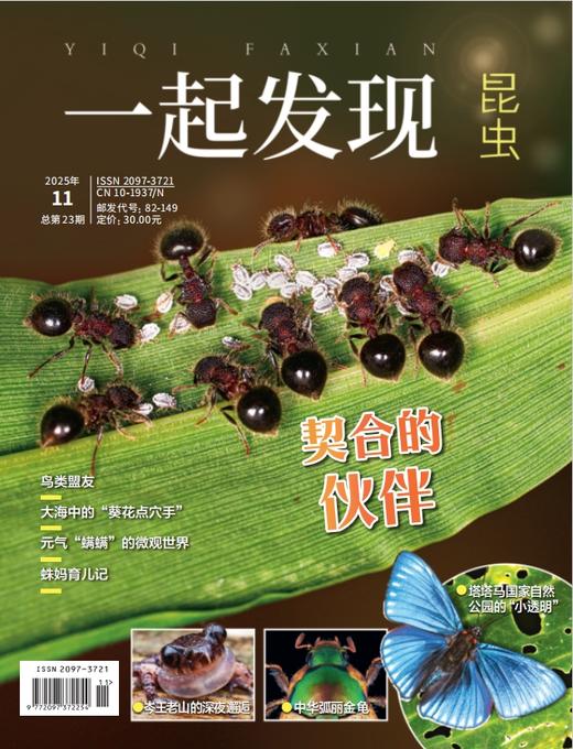 2025年《一起发现》全年10本一次发出 商品图8