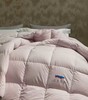 【堂皇】B7F 堂皇蔓羽暖立方羽绒冬被-粉灰220x240cm胎重1250g 商品缩略图0