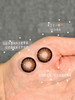 『月抛大直径』MACYCON-萌宠系列-可爱比熊/芝士小狗/萌萌贵宾 -14.5mm【月抛0-800度 无525/575】 商品缩略图3