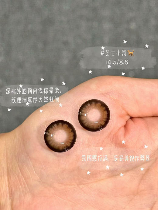 『月抛大直径』MACYCON-萌宠系列-可爱比熊/芝士小狗/萌萌贵宾 -14.5mm【月抛0-800度 无525/575】 商品图3