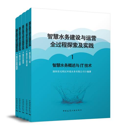 智慧水务建设与运营全过程探索及实践 商品图2
