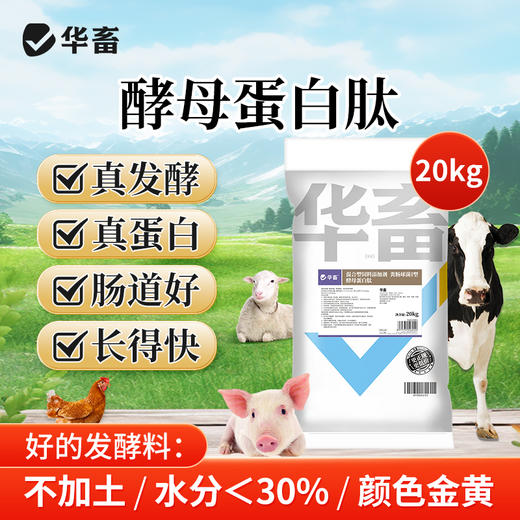华畜酵母蛋白肽20kg提高饲料转化率 商品图0