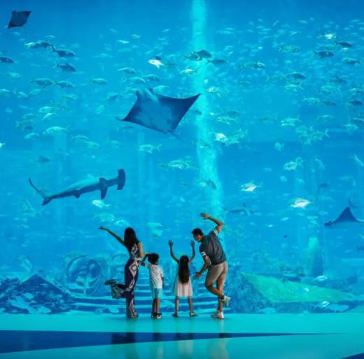 【海南】住亚特兰蒂斯、丽思卡尔顿、艾美！畅玩水族馆水世界，冲浪、浆板、赶海多种体验！全程旅拍！ 商品图0