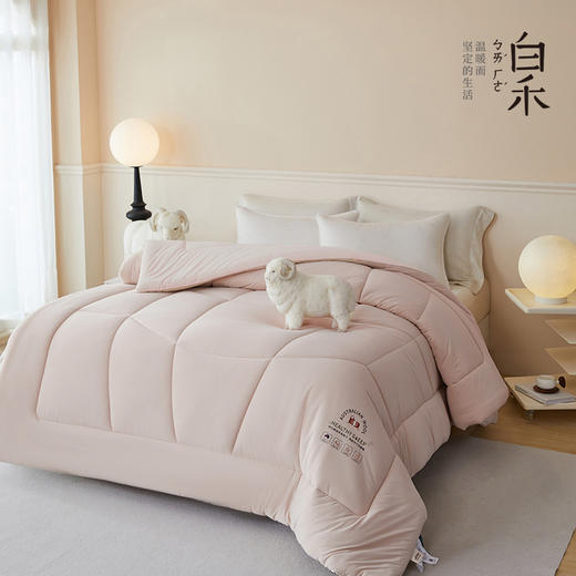 【白禾】【25年新款】新氧澳毛双层抗菌锁温被芯 商品图3