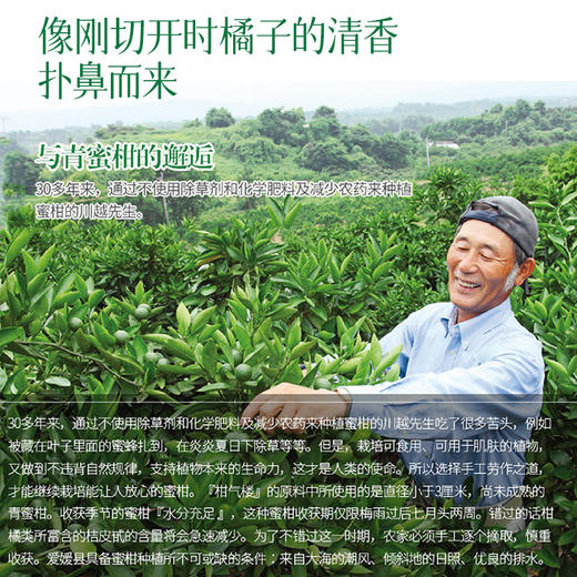 KANKIROU/柑气楼 柑橘丰润控油 洗发露 600g 4573252210733 商品图6