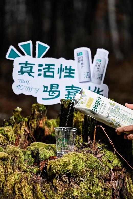 嘉桦纯白桦树汁水饮料有机森林桦树原液植物饮品2.5L盒装(非浓缩)【顺丰发出退货需支付实际拦截费用】 商品图11