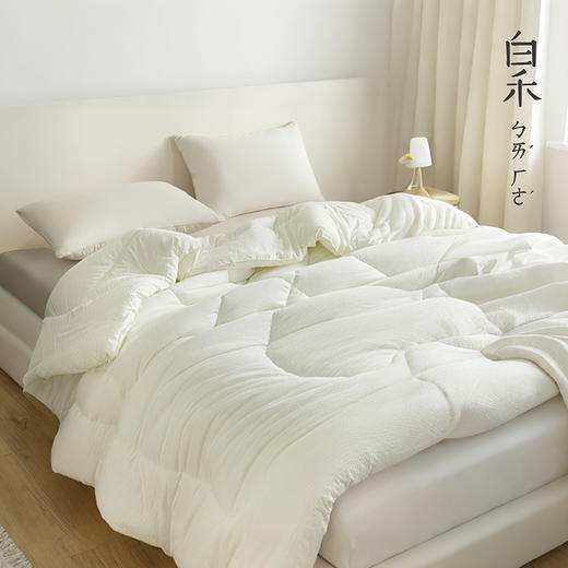 【白禾】A嘭嘭小棉朵冬被芯-中号 商品图2