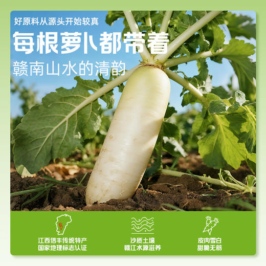 有机萝卜干125g*4袋微辣配料简单无防腐剂拌面拌饭下饭炒制咸菜开袋即食 商品图7