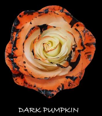 厄瓜多尔进口万圣节玫瑰合集10支 商品图3