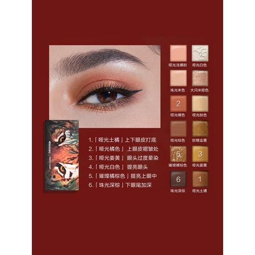完美日记探险家十二色动物眼影盘14g(注：美妆为特殊商品，下单后不支持退货） 商品图2