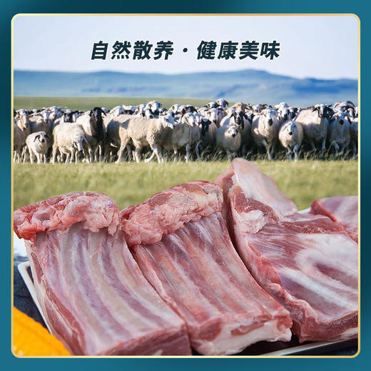 羔羊排块（750g/袋） 商品图3