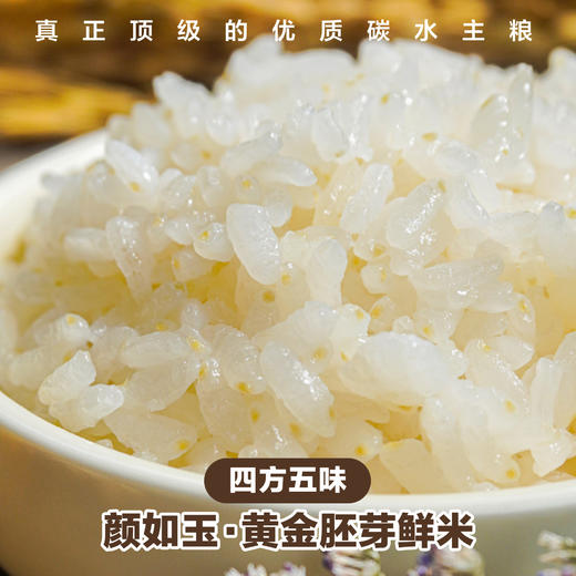 四方五味·颜如玉·黄金胚芽鲜米 商品图1