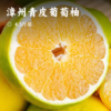 漳州青皮葡萄柚 | 一口鲜嫩爆汁，甘甜可口 ! 果肉晶莹剔透，人工挑拣采摘，补水的上乘之选 商品缩略图0
