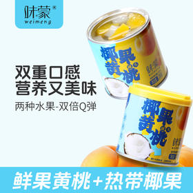 椰果黄桃罐头 优选新鲜黄桃 精选热带椰果 混搭风味 酸甜清爽解腻