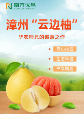  秋意漫岭南 | 邂逅漳州高山的“云边柚”，华农师兄的匠心之作