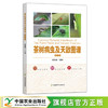 茶树病虫及天敌图谱（第2版） 商品缩略图0
