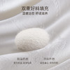 2025年秋冬新款雅芳婷全棉蚕丝冬被加厚保暖四季被冬季被子被芯 商品缩略图1