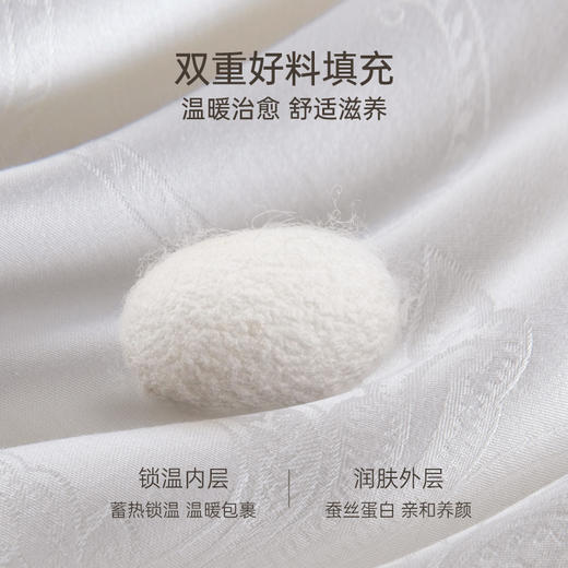 2025年秋冬新款雅芳婷全棉蚕丝冬被加厚保暖四季被冬季被子被芯 商品图1