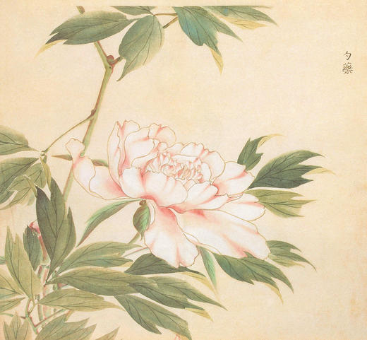 SZ3S78_监德色_连衣裙_春夏_V领七分袖腰带收腰A字大摆长款垂感雪纺_高级女装_BERNIEELEN 伯妮斯茵 商品图5