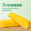 寒乡原 鲜食玉米 240g*8穗 商品缩略图2