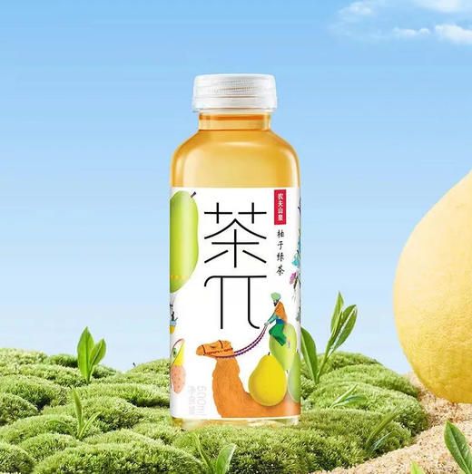 农夫山泉 茶π柚子绿茶果味茶饮料 500ml/瓶 商品图0